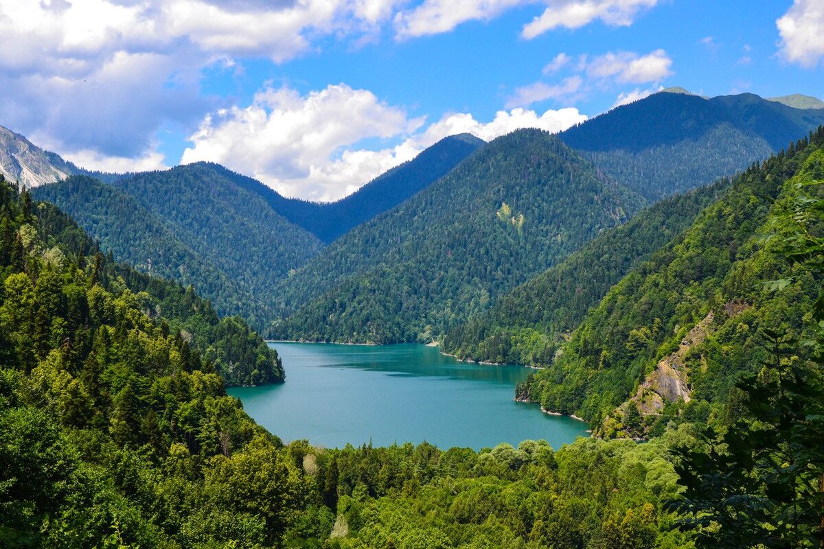 Яндекс картинки