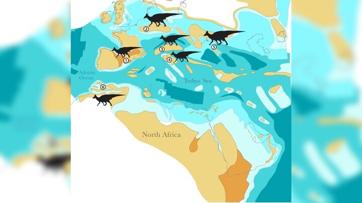 На карте обозначены места находок ископаемых останков гадрозаврид. Благодаря новому исследованию в этом списке появилась Северная Африка.
Иллюстрация Nicholas Longrich.
