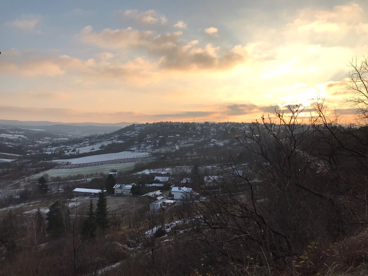 Сремска Каменица