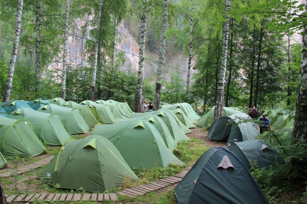 Кемпинг в лесу в России