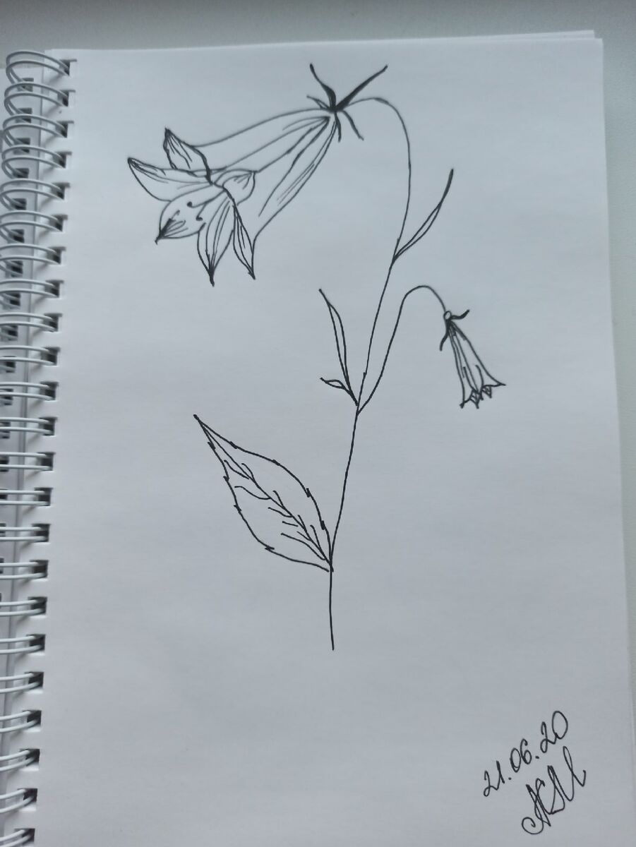 Колокольчик