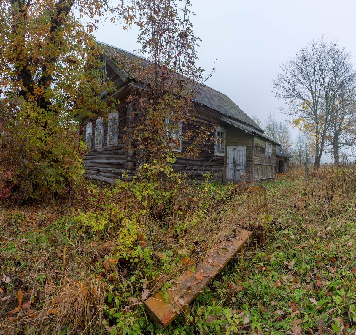 деревня клин новгородской области дом сильвестра фото