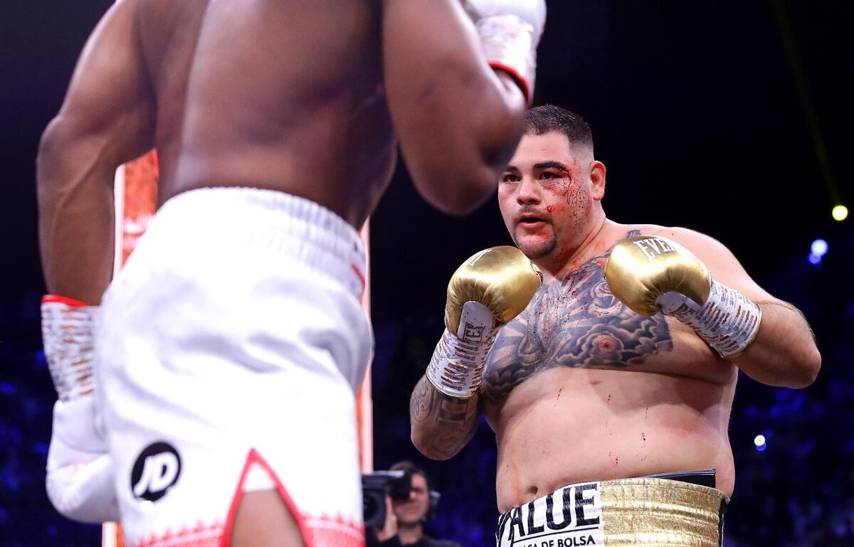 https://ajssarimg.mediatriple.net/1067441.jpg