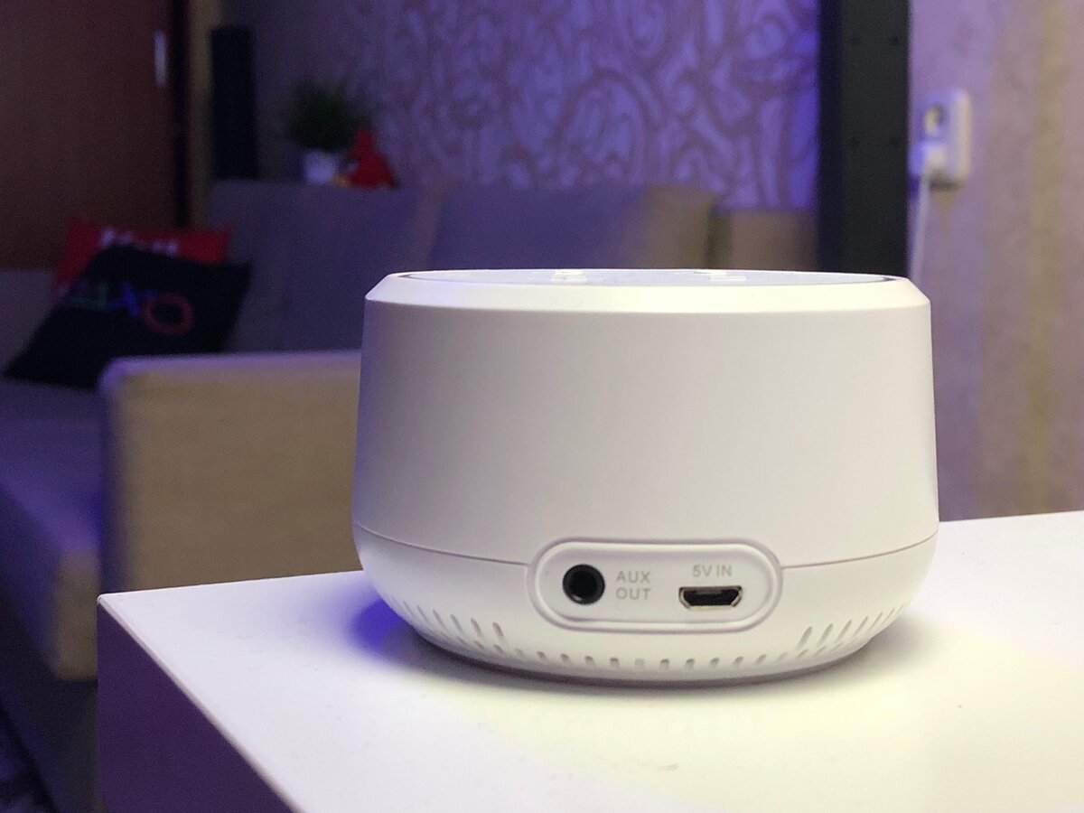 На задней части колонки размещены выход AUX и microUSB для подключения питания.