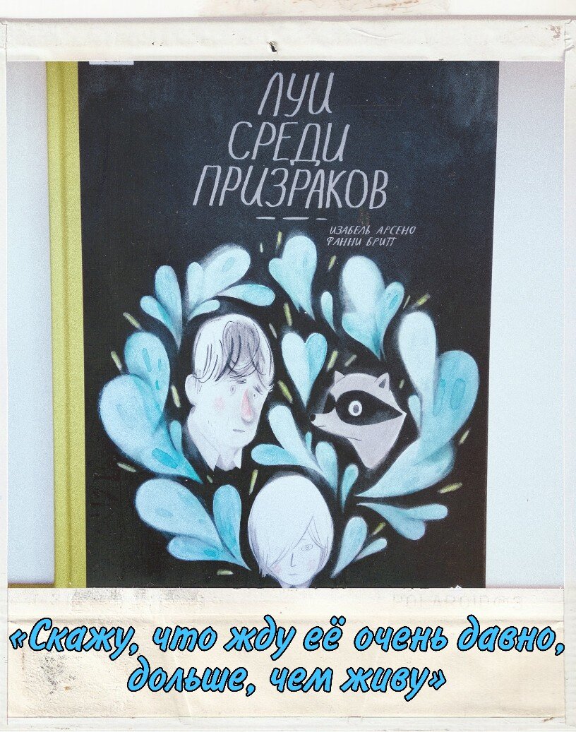 Фото книги "Луи среди призраков", а призраки - наши страхи :)