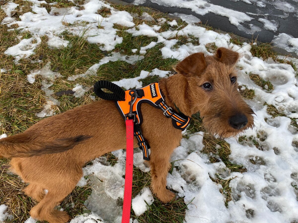 фото автора канала