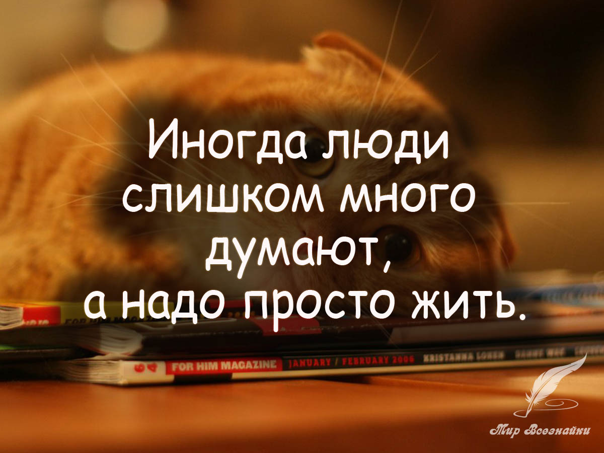 Слишком долго думаю. Жить надо высказывания. Надо жить цитаты. Просто жить цитаты. Нужные цитаты.