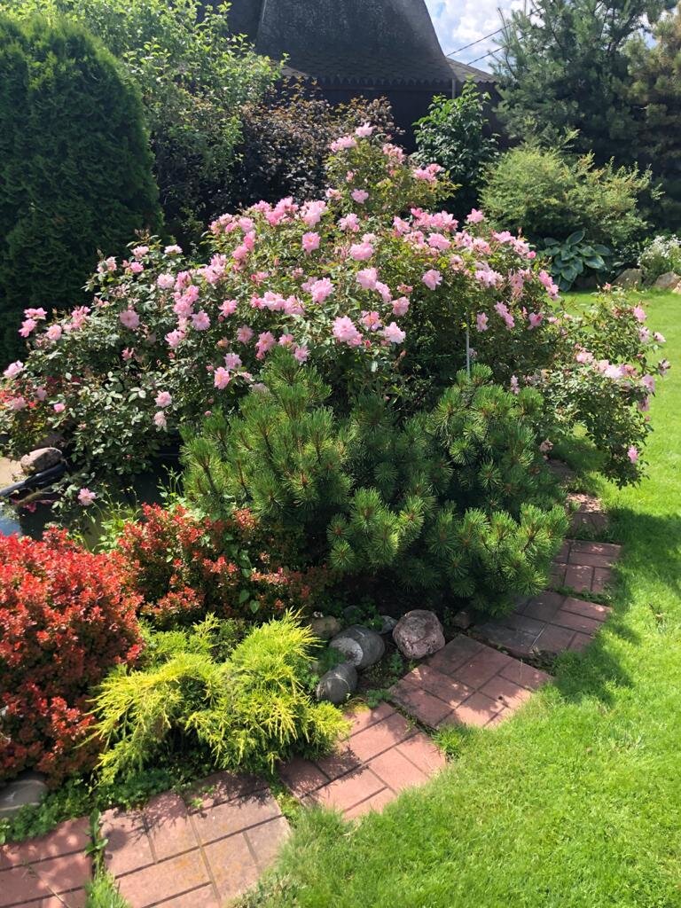 Ставьте "лайки" и подписывайтесь на мой канал!