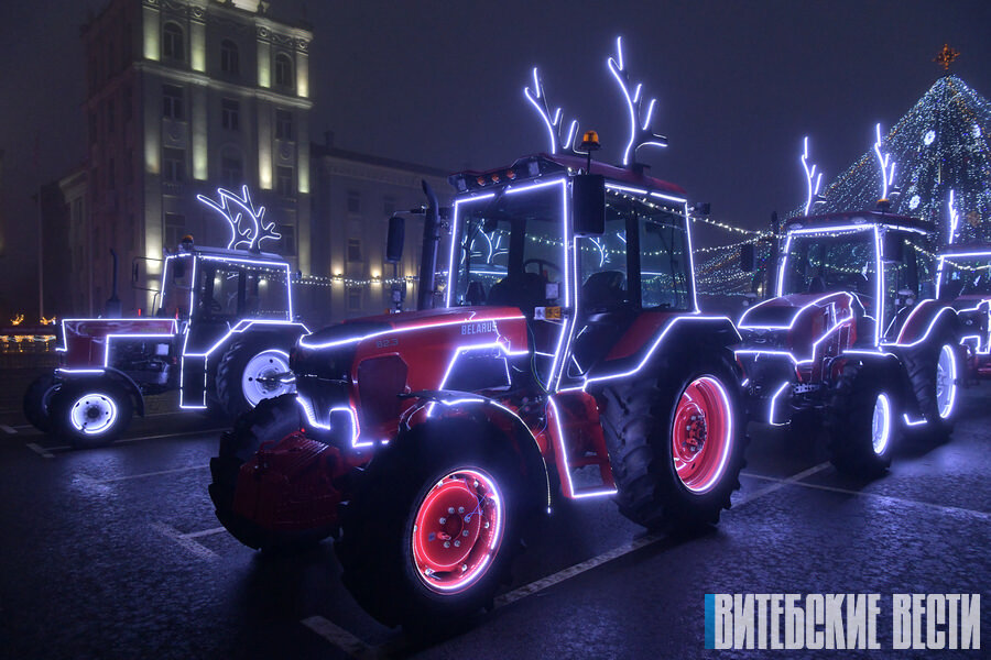 Фото Дмитрия ОСИПОВА