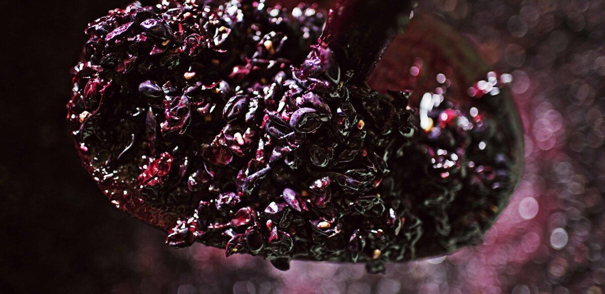 Что такое мезга и для чего она нужна | ПРОСТО О ВИНЕ | Дзен