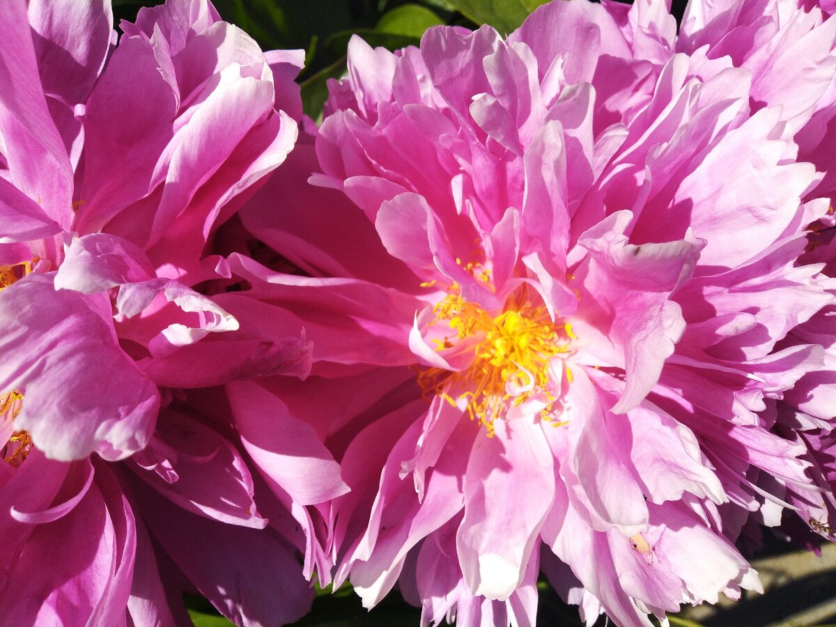 Просто фото)