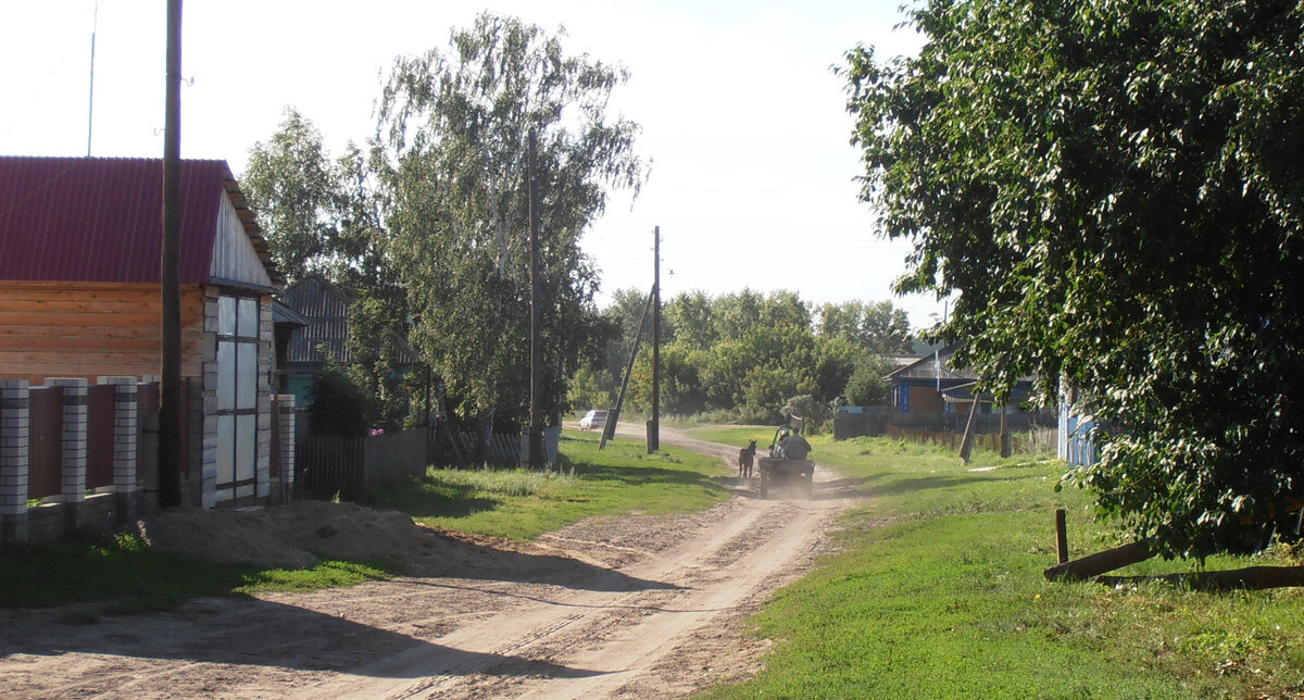 Улица Центральная. Рогозиха, Павловский район, Алтайский край.