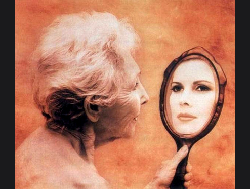 Яндекс картинки в свободном доступе