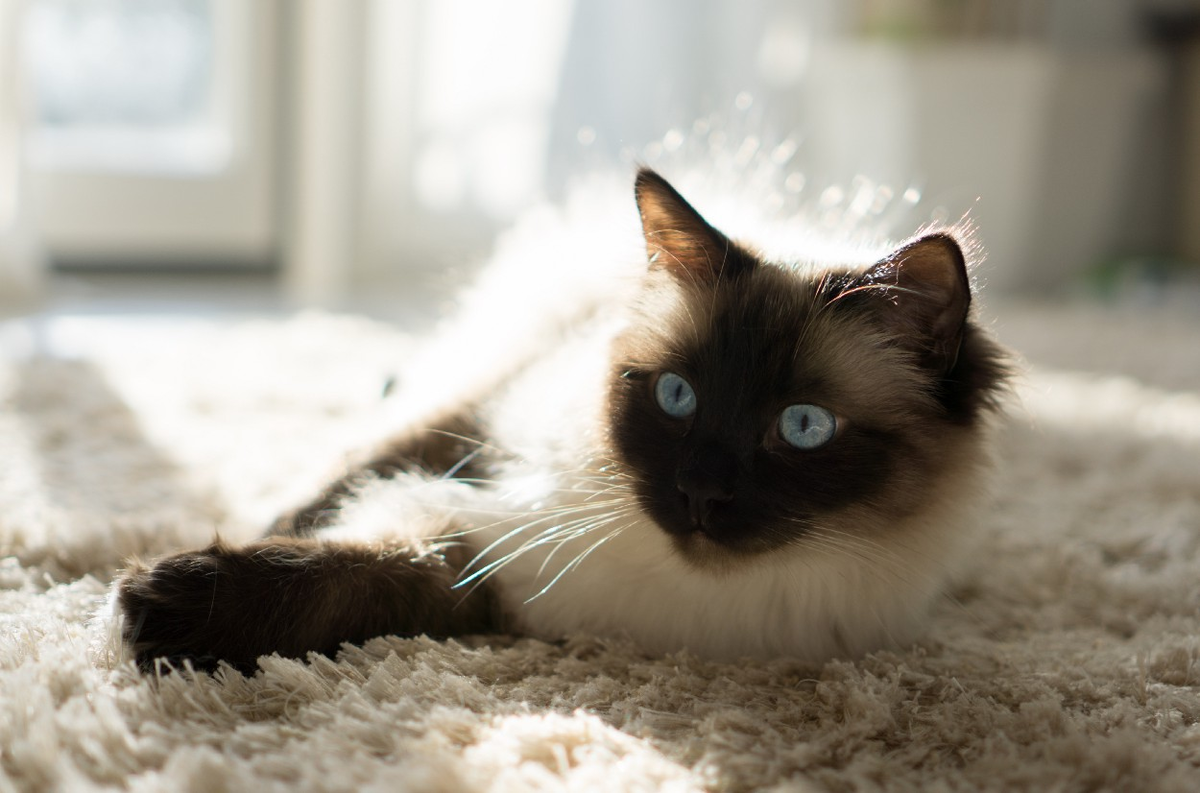 Фото Дэвида Кёлера на Unsplash