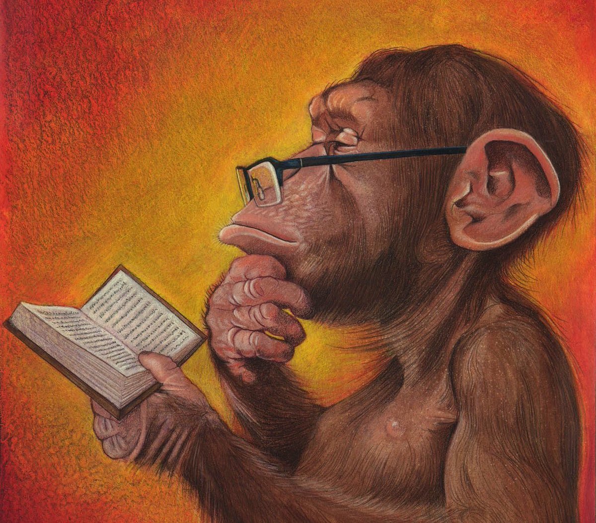 Эволюция и дегенерация  ...