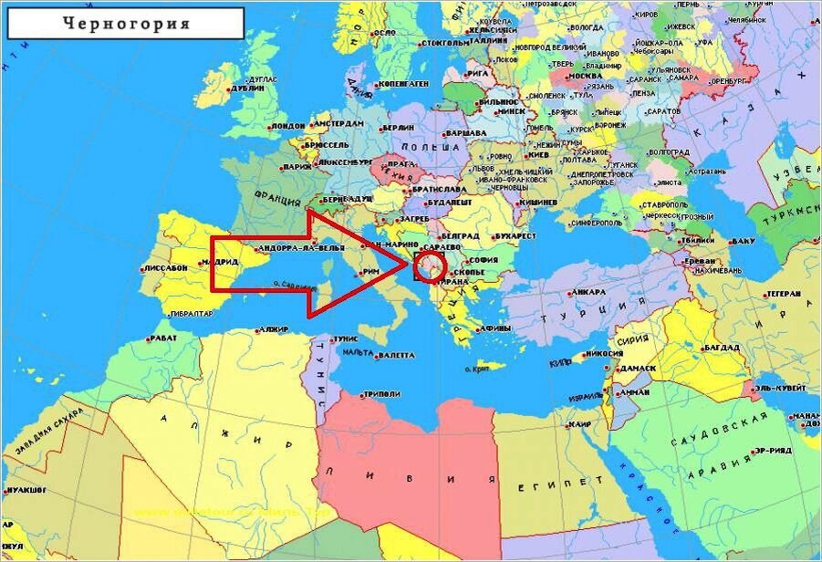 Где каком городе стране находится. Черногория на карте Европы. Черногория политическая карта. Карта Европы Черногория со странами крупно на русском. Черногория на карте мира на русском языке.