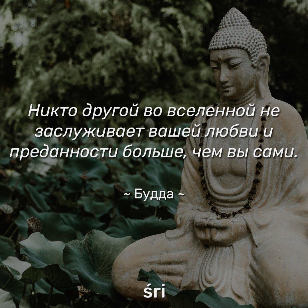 Цитата Будды