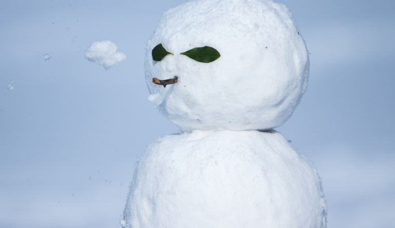 Снежное 14 января - к поздней зиме. Фото: pixabay.com