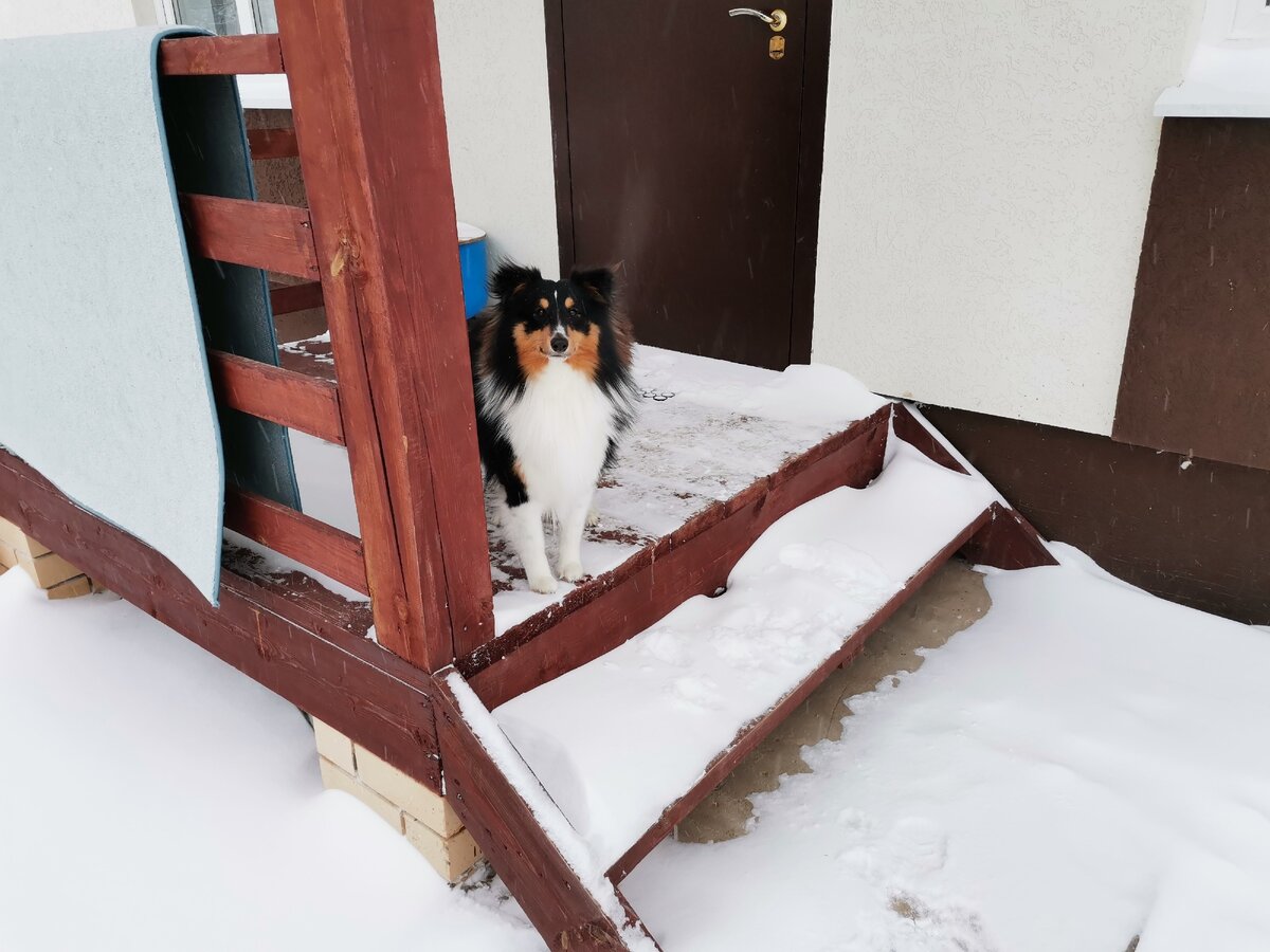 Крыльцо нашего дома.