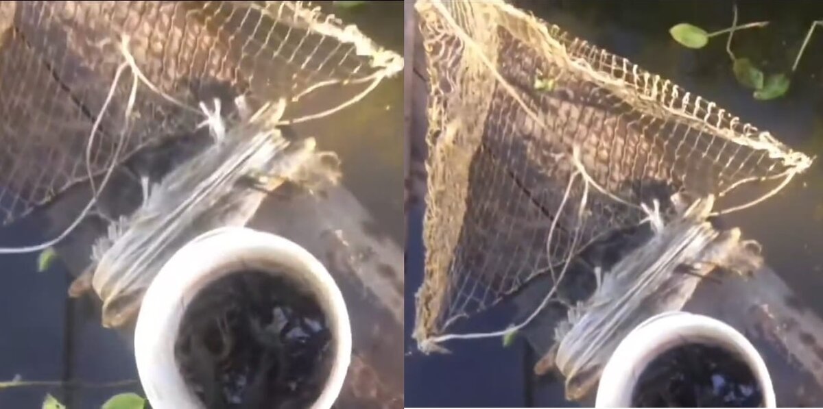 результат за полчаса