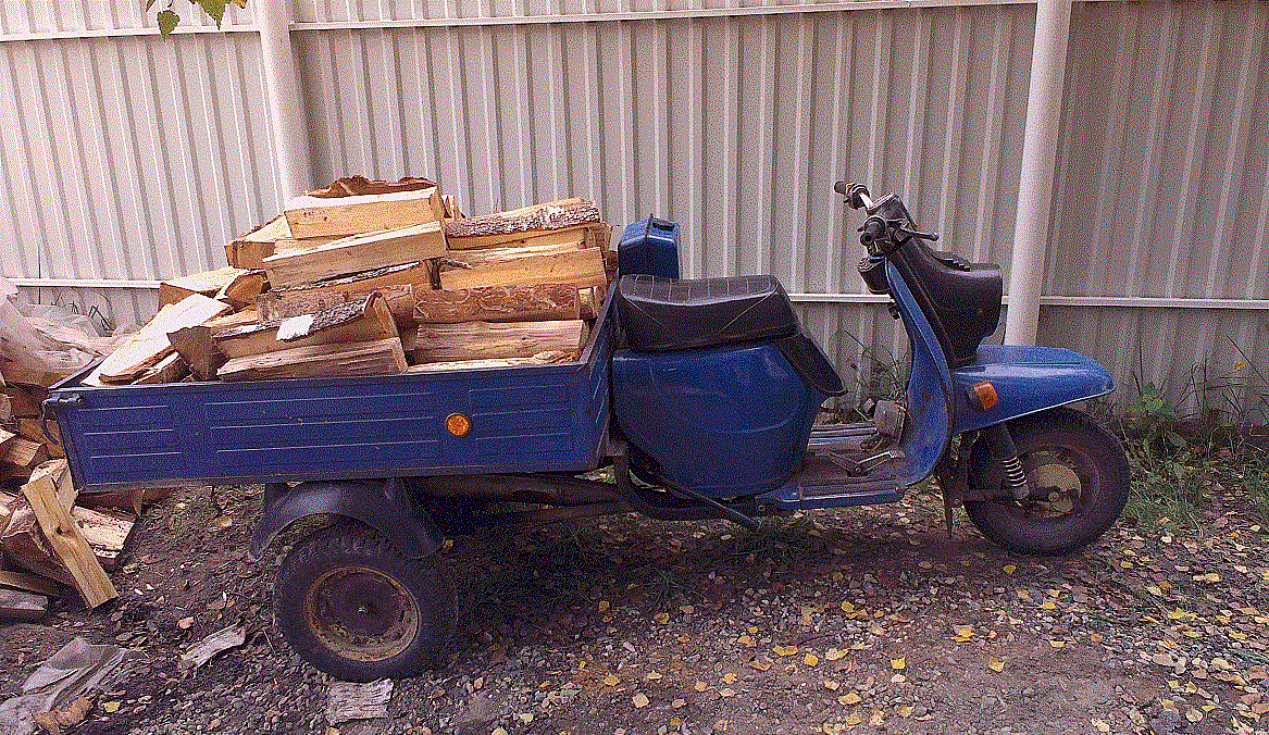 Вот таким трудягой и был тот самый Муравей