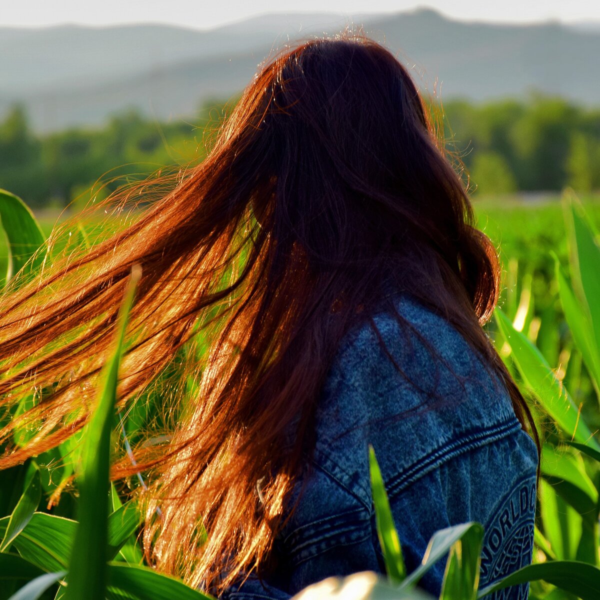 Фотография автора. 