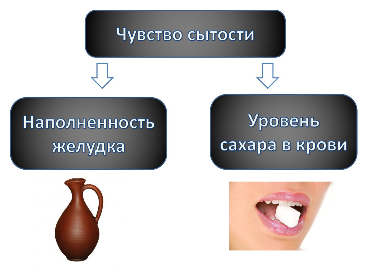Предел насыщения брендинга. Предел сытости 5 букв. Предел сытости 5 букв. Предел сытости 5 букв. Шкала голода и сытости.