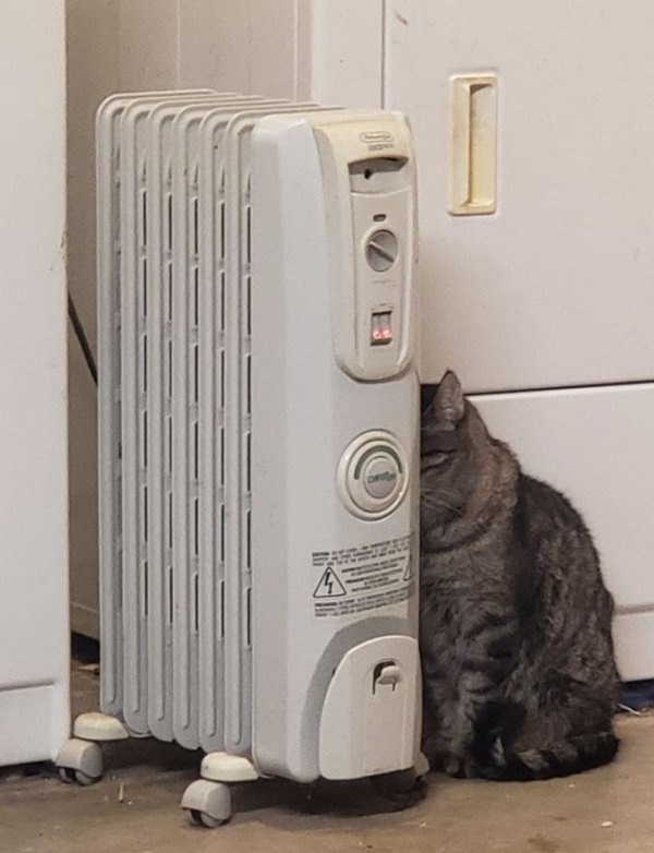 Источник изображения - Pinterest