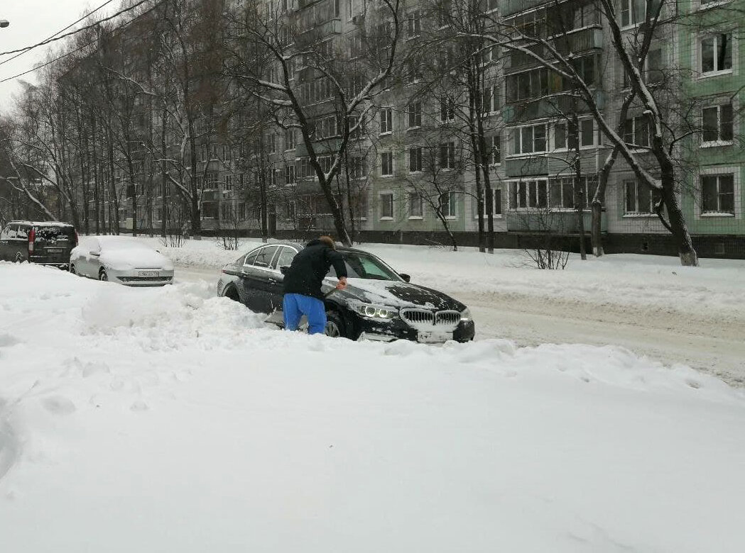 Пурга, или чем откапывается народ после небывалого снежного шторма в  Москве. | Первый вязальный! | Дзен