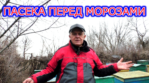 Пасека снова перед морозами. Подкормка