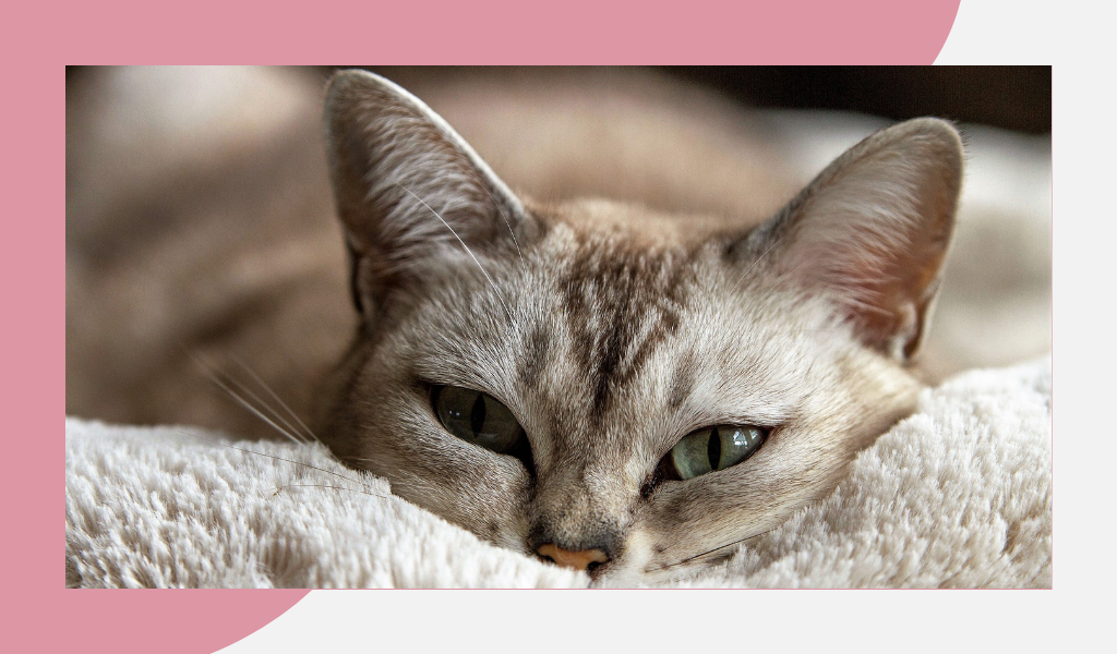 Фотография из открытых источников