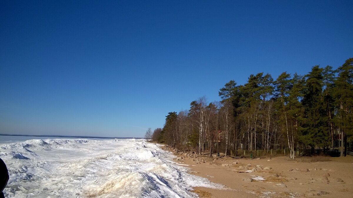 Репино, Санкт-Петербург, 2015 г.