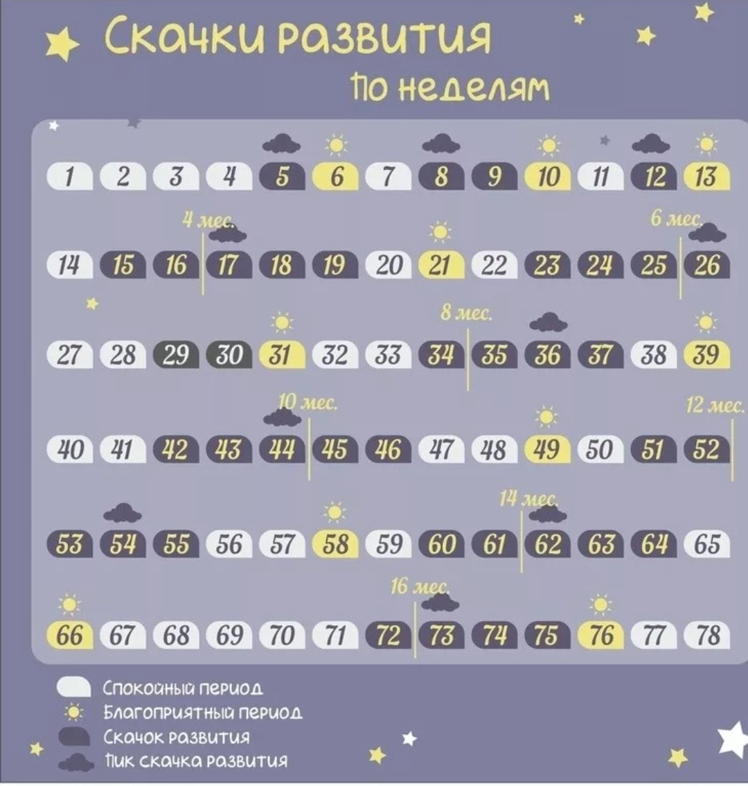 Картинка взята из интернета. 