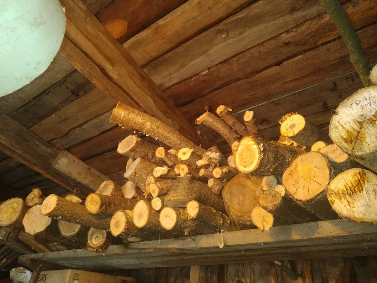 Бесценная коллекция