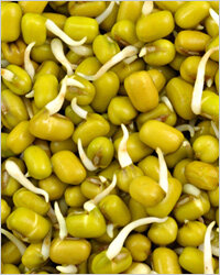 По статистике, среди вегетарианцев, веганов, сыроедов и прочих приверженцев радикальных методик питания больше всего рожденных под знаком Девы. Фанатизм в еде – это лишь одно из проявлений перфекционизма и щепетильности Дев. При этом вегетарианство для этого знака – это не только забота о своем здоровье, но и способ достичь гармонии и уменьшить количество страданий в мире.