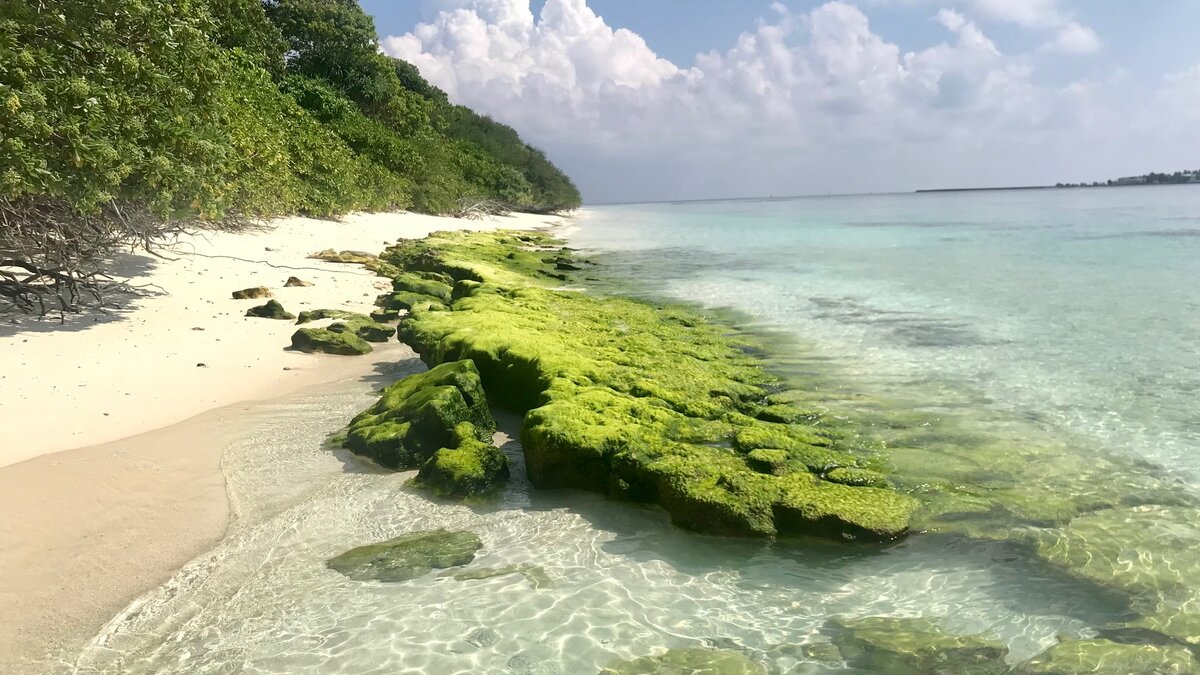 Атолл Баа, Мальдивы. Февраль, +27.