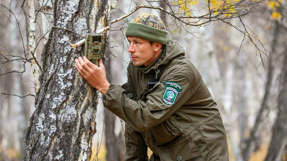 Охотоведы установили что весной на площади. Алтачейский заказник Красиков. Госинспектор заповедника.