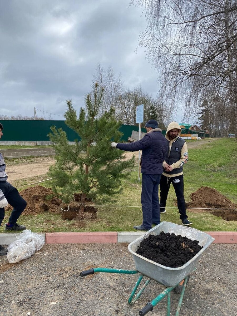Берегите эти земли, эти воды, даже малую былиночку любя. Берегите всех зверей внутри природы, убивайте лишь зверей внутри себя! Е. ЕВТУШЕНКО