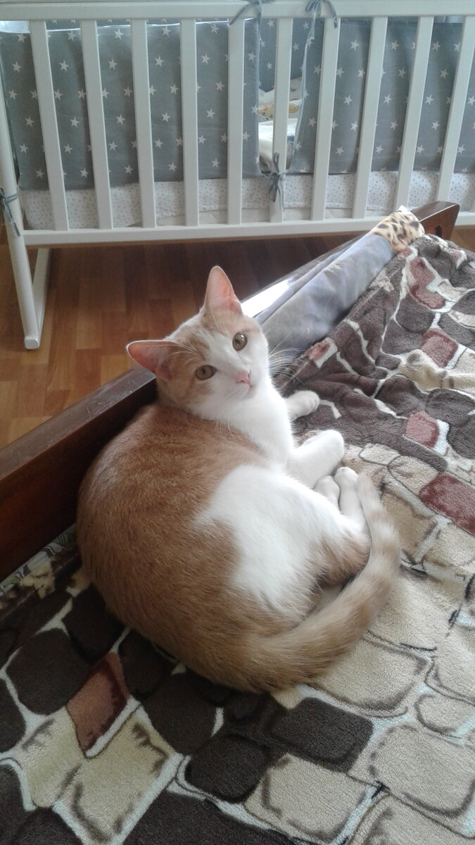 В глазах непонимание,что происходит)))