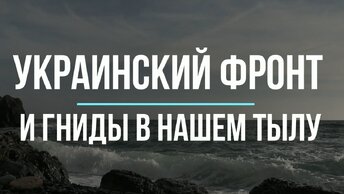 Украинский фронт и гниды в нашем тылу