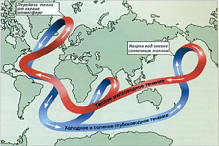Говоря о гольфстрима кривин пишет что