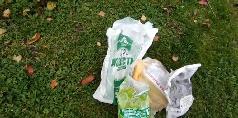 Подкормки для вишни