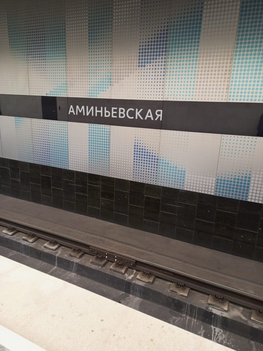 Фото. Станция Московского метро «Аминьевская».