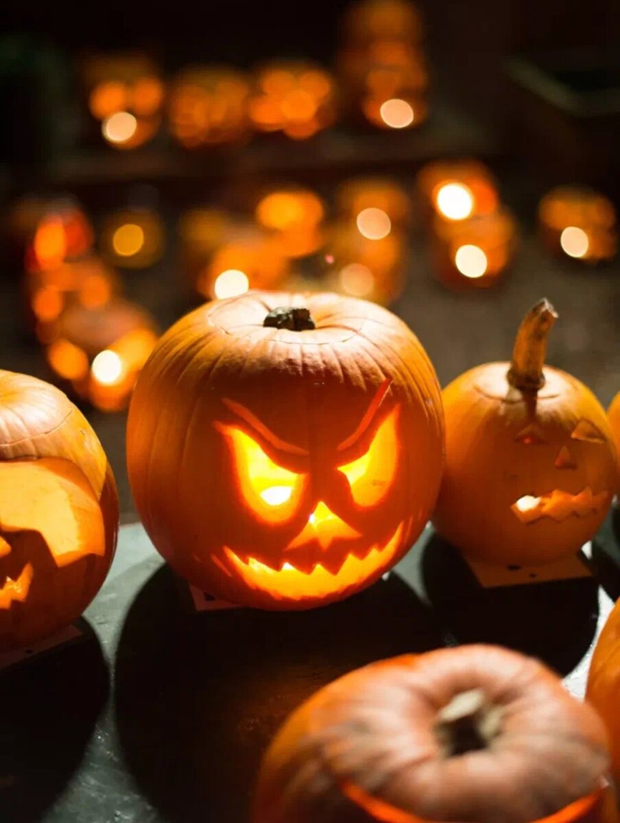 Фото из Интернет