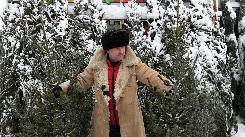   РИА Новости Илья Наймушин