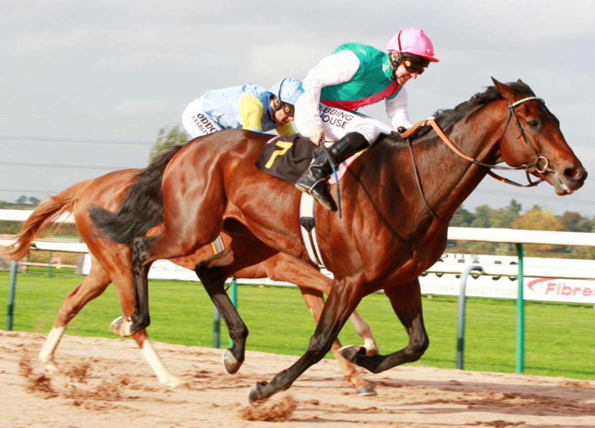 Бега конный спорт. Скачки на лошадях. Лошадь на скачках. Лошади на ипподроме. Спортивные скачки на лошадях.