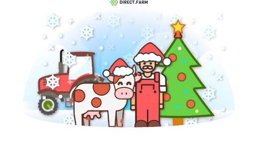 Direct.Farm поздравляет с наступающими праздниками🎄!