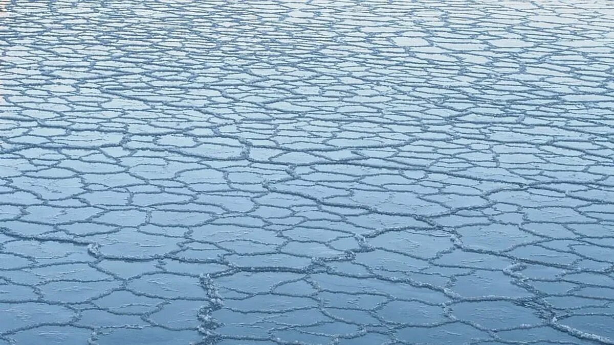 Фото: piqsels.com