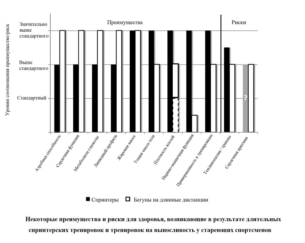 Выносливость, интенсивность и здоровое старение | Ассоциация Профессионалов  Фитнеса (FPA) | Дзен