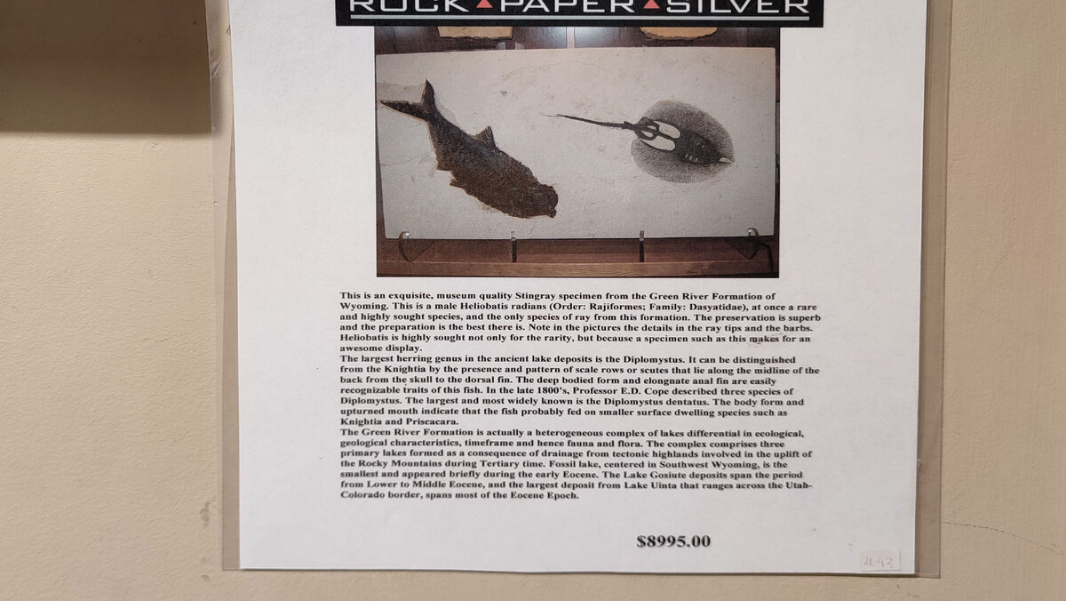 Фото 2  Листайте карусель, там есть описание на английском, чуть покрупнее.